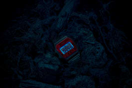 T80 Digital Watch Collection | Retro Watch | Timex