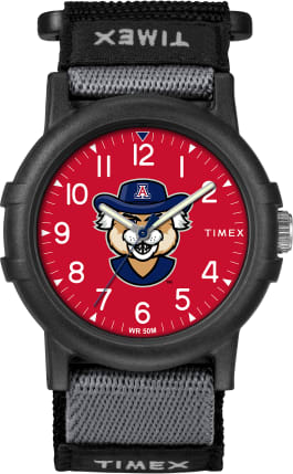 Recruit Arizona Wildcats  large