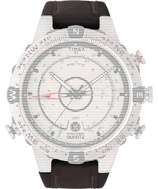 timex intelligent quartz t2n721