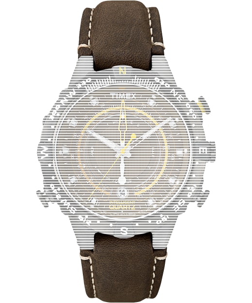 timex t2p141