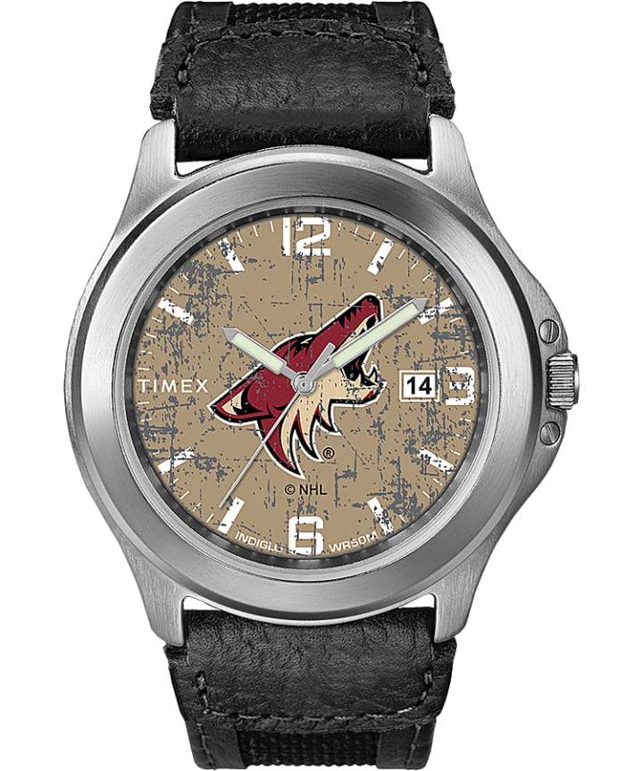 Old School Arizona Coyotes large