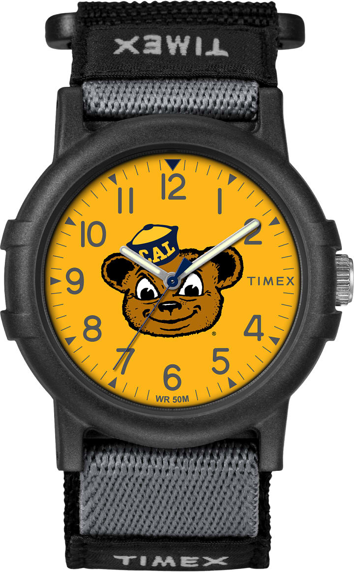 Recruit U Cal Berkeley Golden Bears large