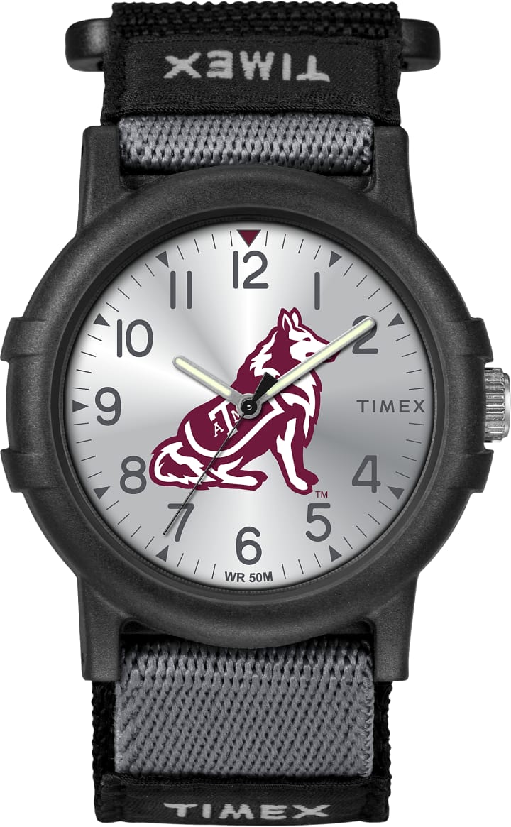 Recruit TAMU Aggies large