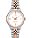 Two-Tone/Cream