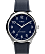 Stainless Steel/Blue
