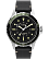 Stainless-Steel/Black/Green