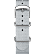 Silver-Tone