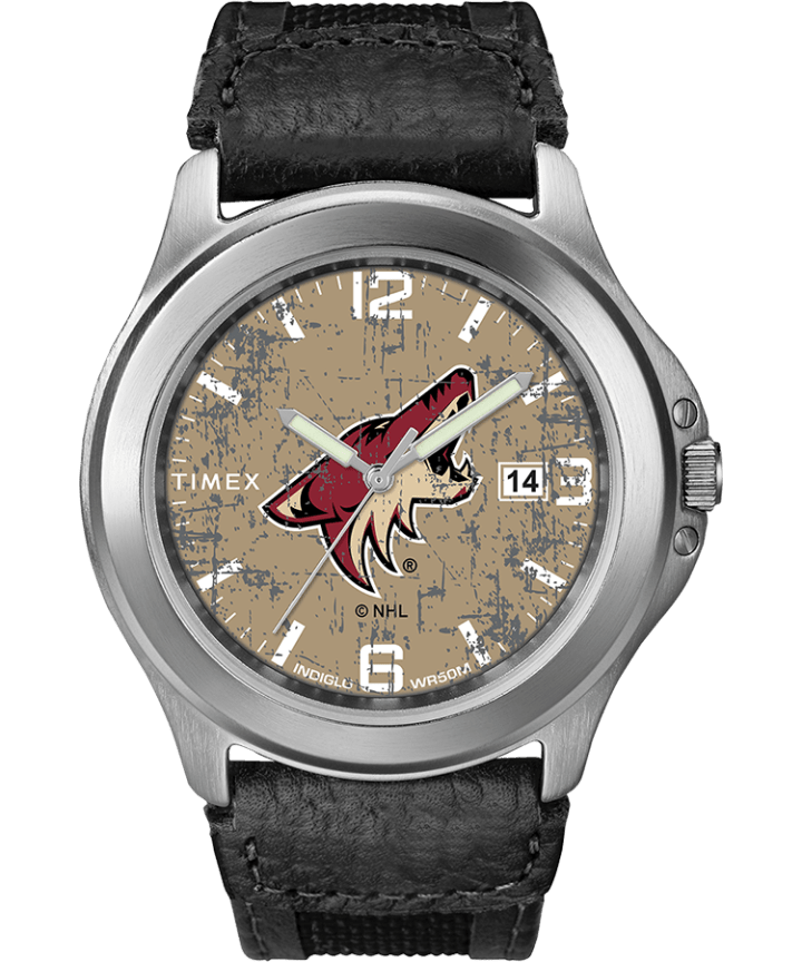 Old School Arizona Coyotes large