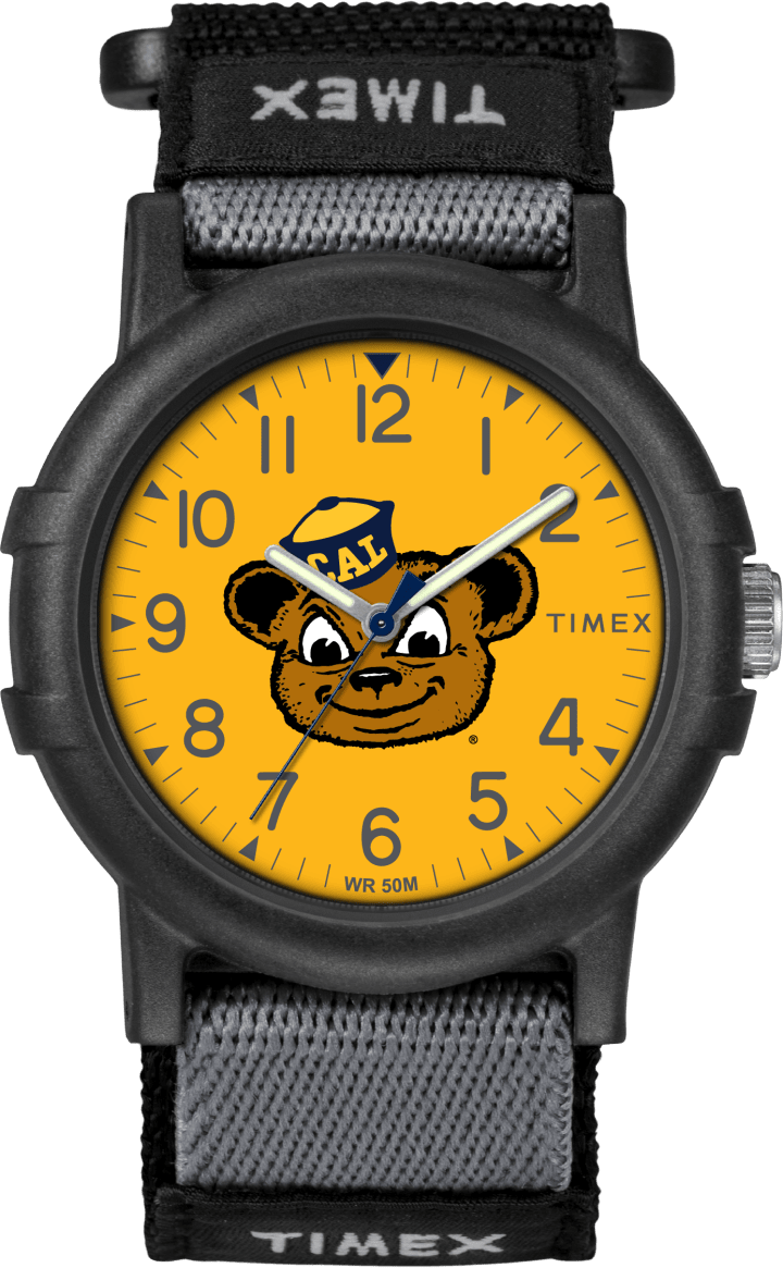 Recruit U Cal Berkeley Golden Bears large