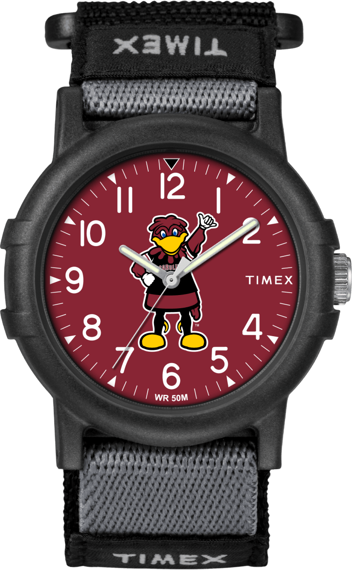 Recruit South Carolina Gamecocks large