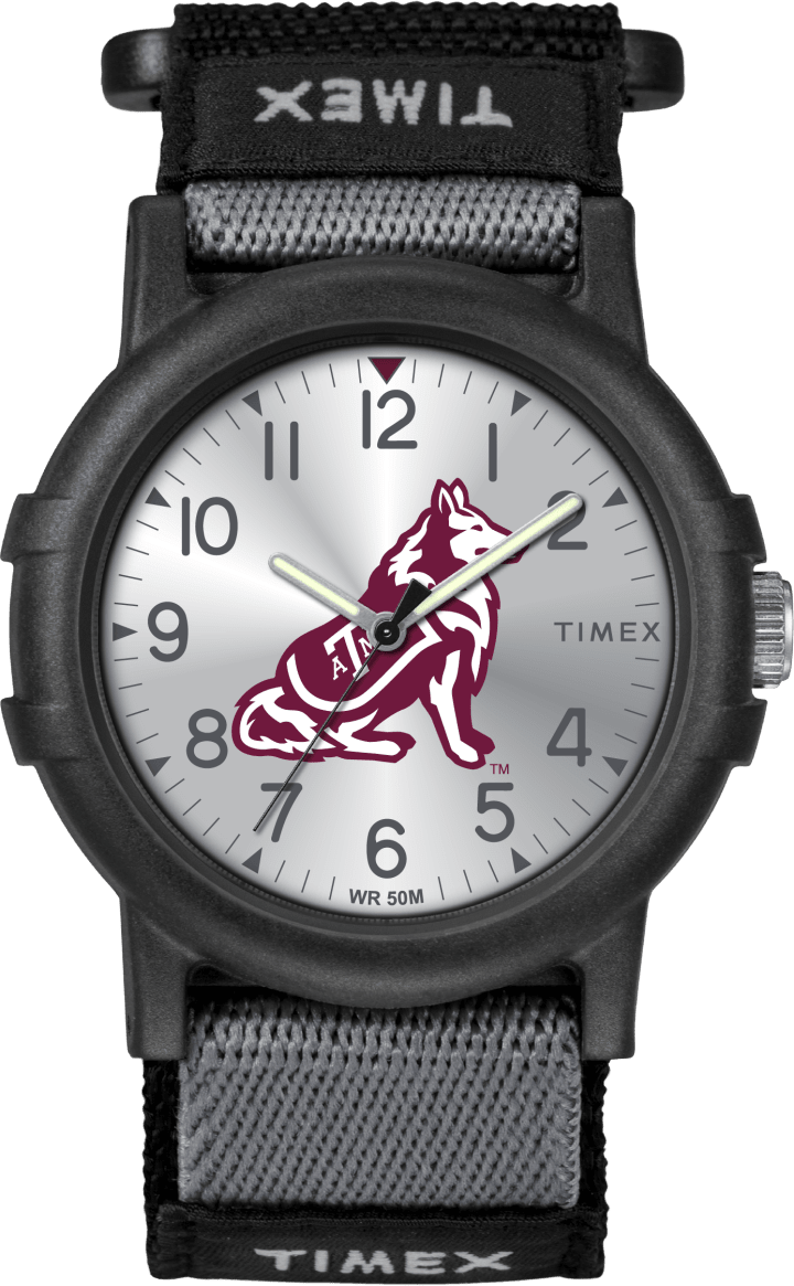 Recruit TAMU Aggies large